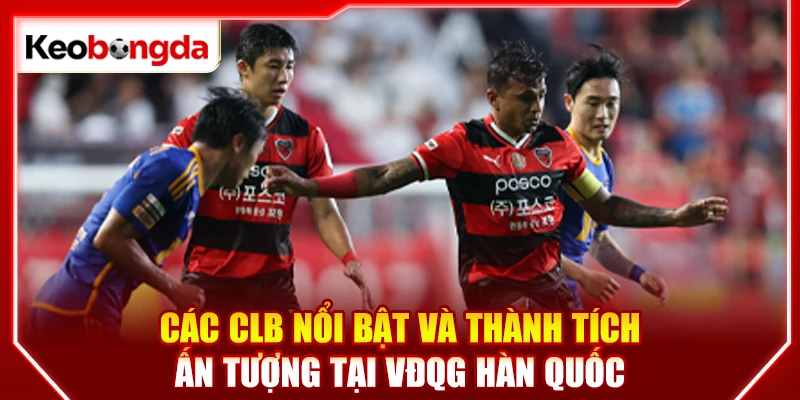 Các CLB nổi bật và thành tích ấn tượng tại VĐQG Hàn Quốc