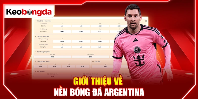Giới thiệu về nền bóng đá Argentina