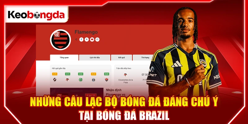 Những câu lạc bộ bóng đá đáng chú ý tại bóng đá Brazil