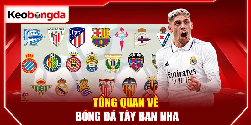 Tổng quan về bóng đá Tây Ban Nha
